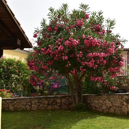 Splendida Villetta Tavolara 1 Vaccileddi Екстериор снимка