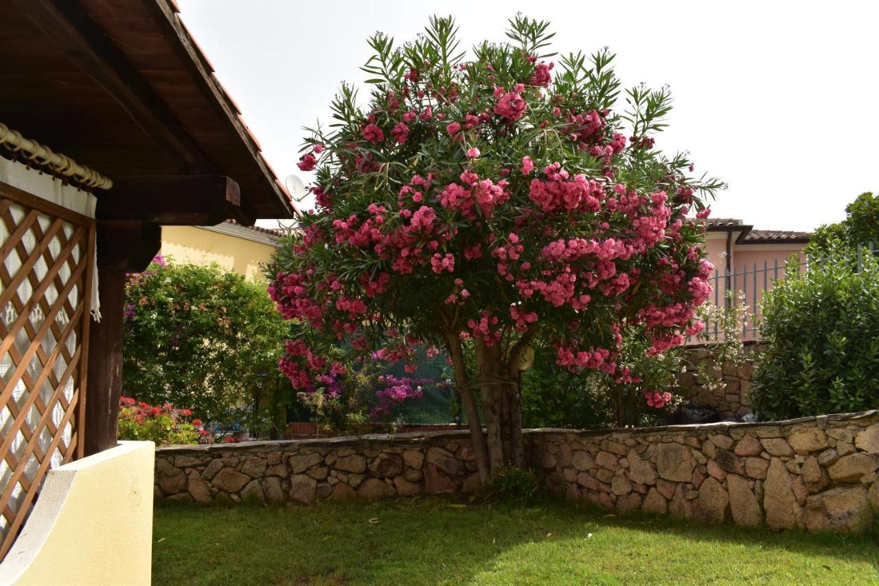 Splendida Villetta Tavolara 1 Vaccileddi Екстериор снимка